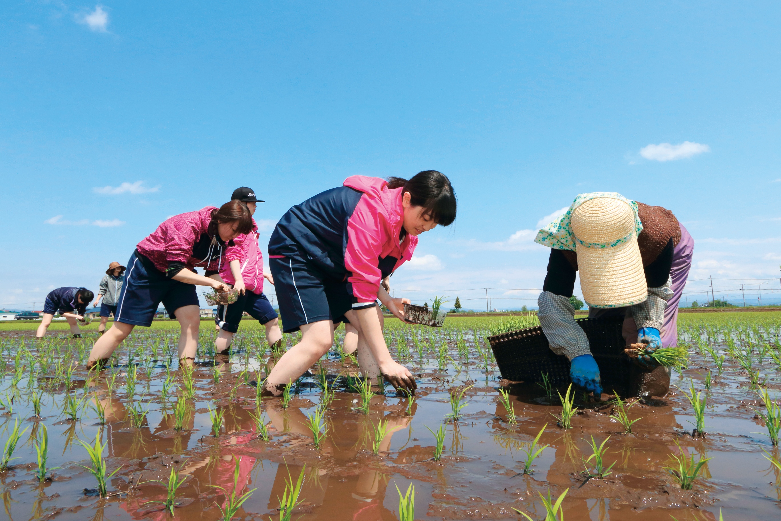 学校の特徴