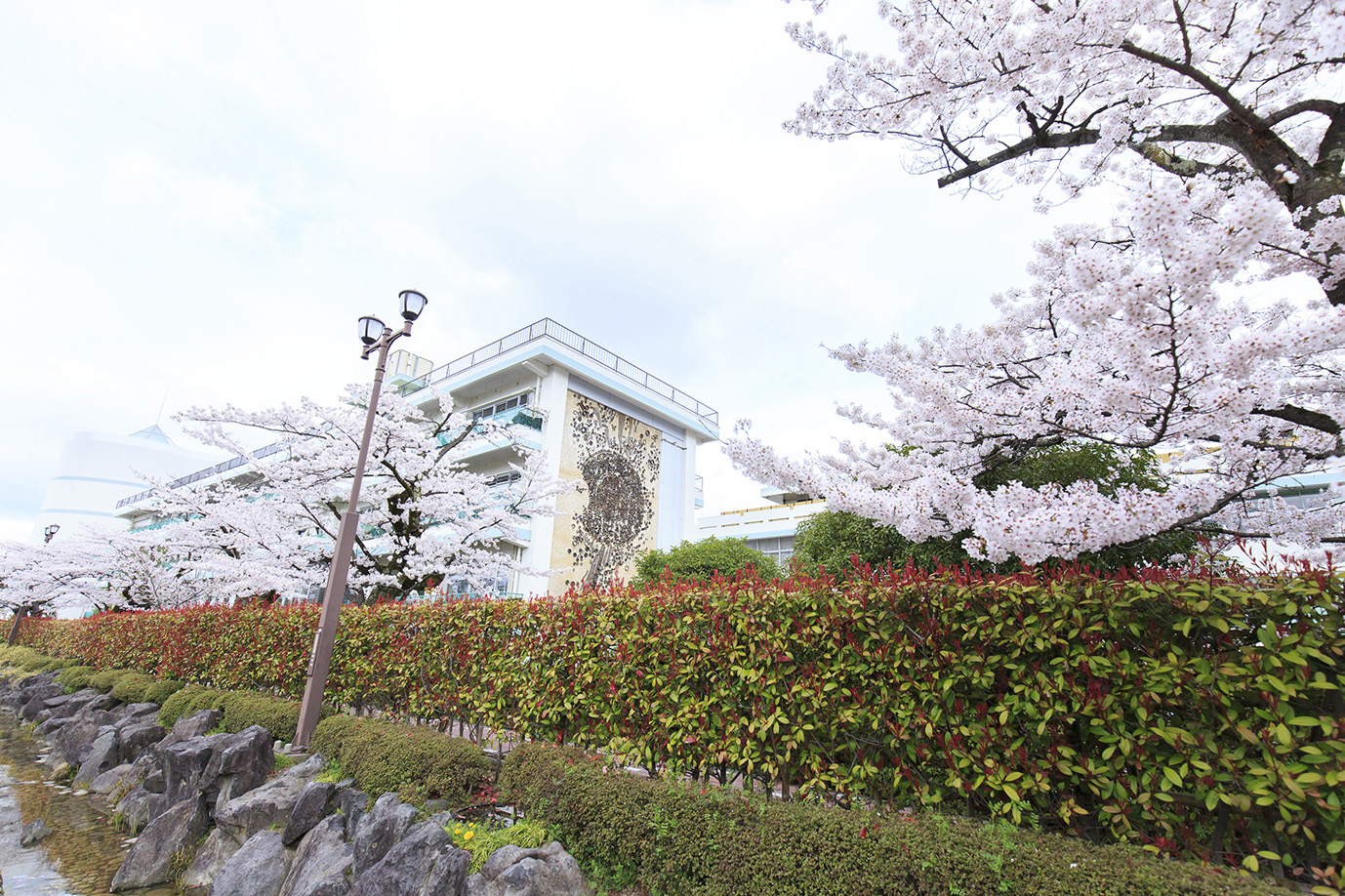 学校の特徴