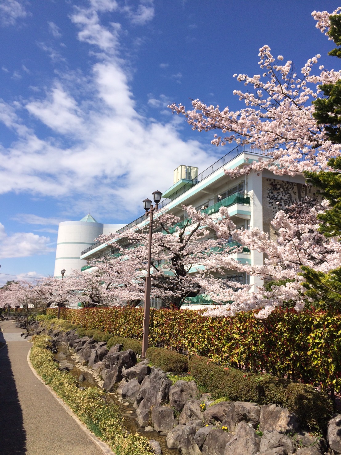 郡山女子大学短期大学部 北海道 東北 福島県 全国栄養士養成施設協会