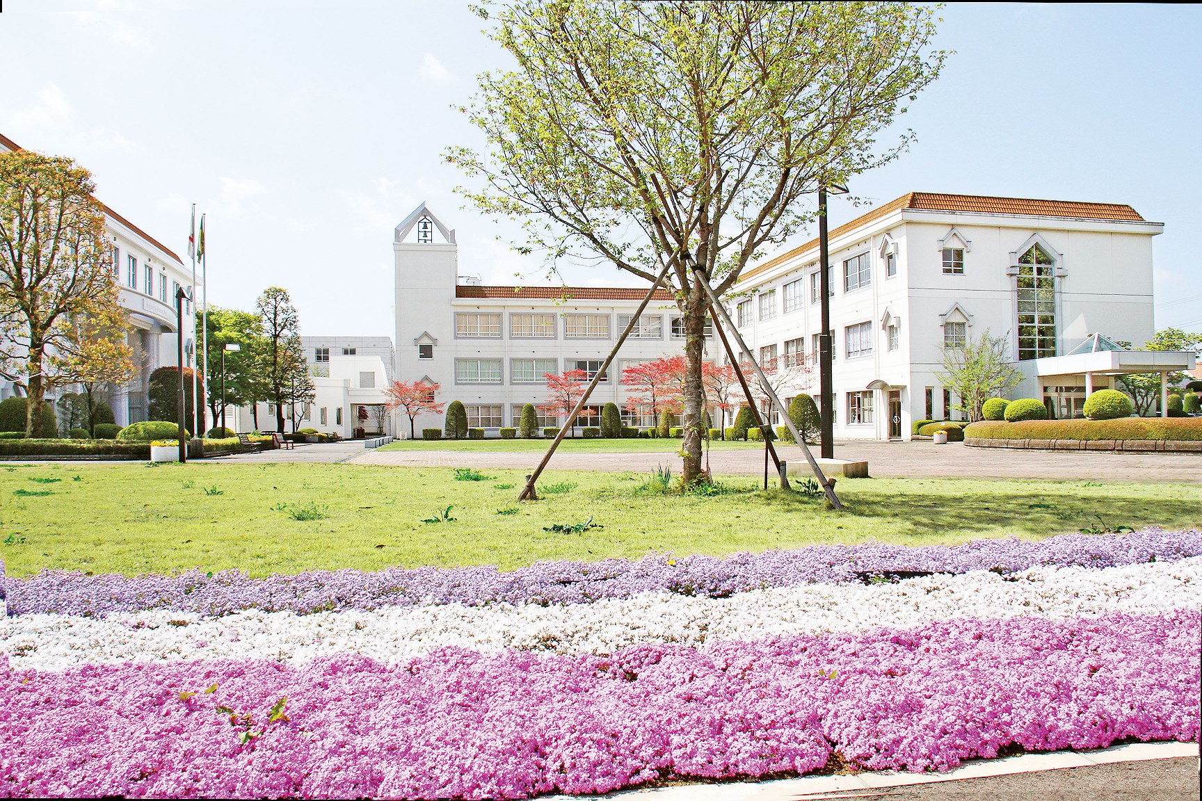 佐野日本大学短期大学 関東 甲州 栃木県 全国栄養士養成施設協会