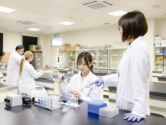 学校の特徴