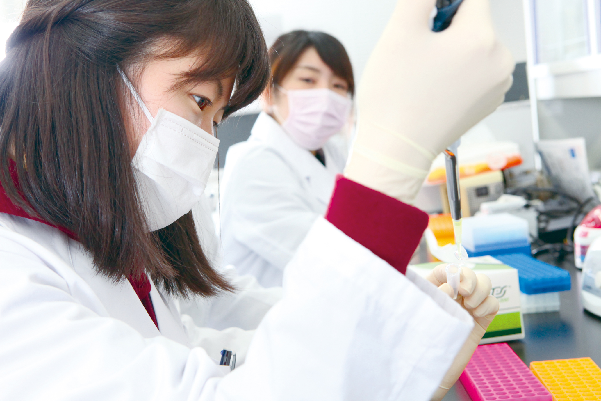 学校の特徴