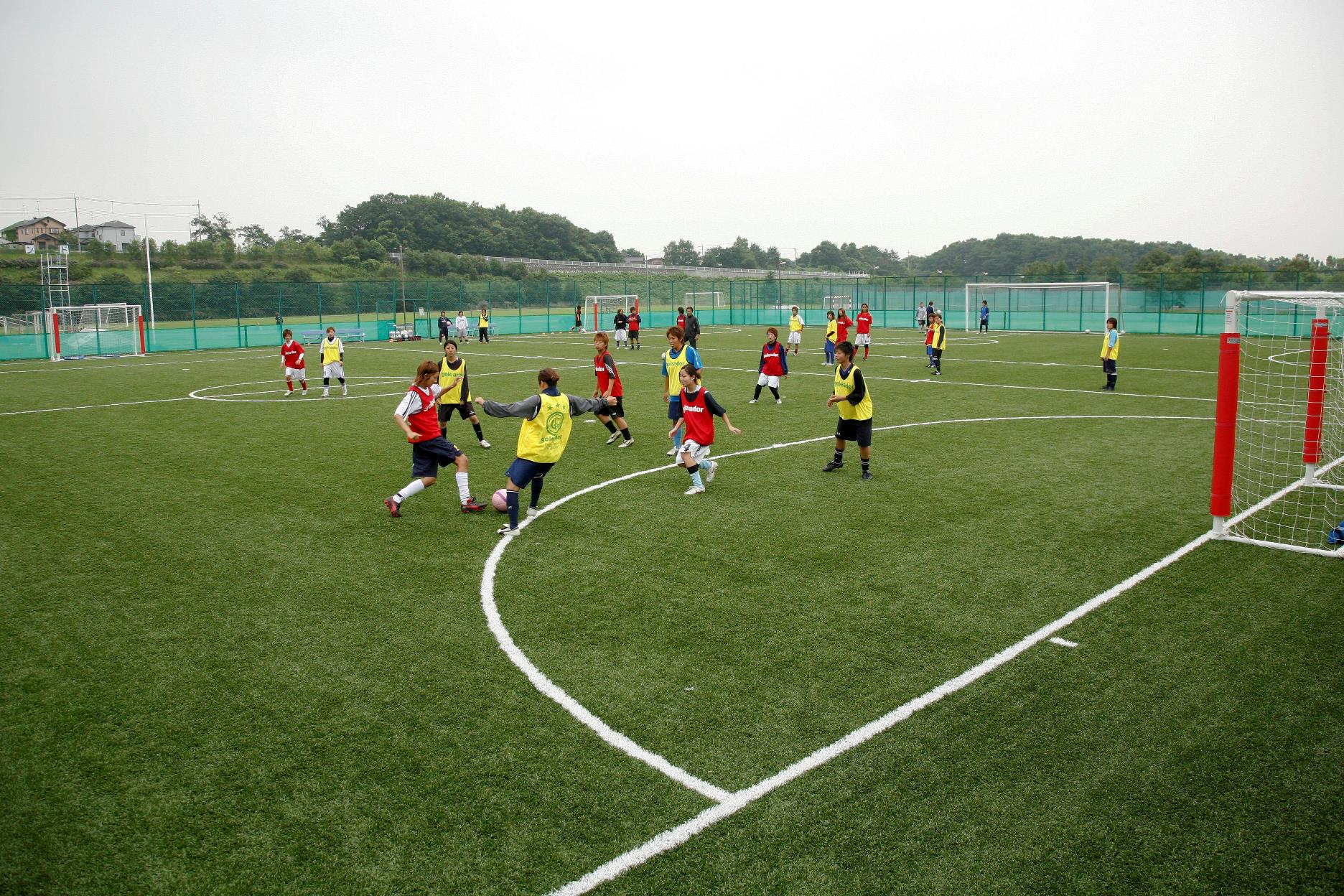 武蔵丘短期大学 関東 甲州 埼玉県 全国栄養士養成施設協会