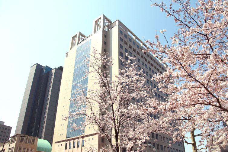 学校の特徴