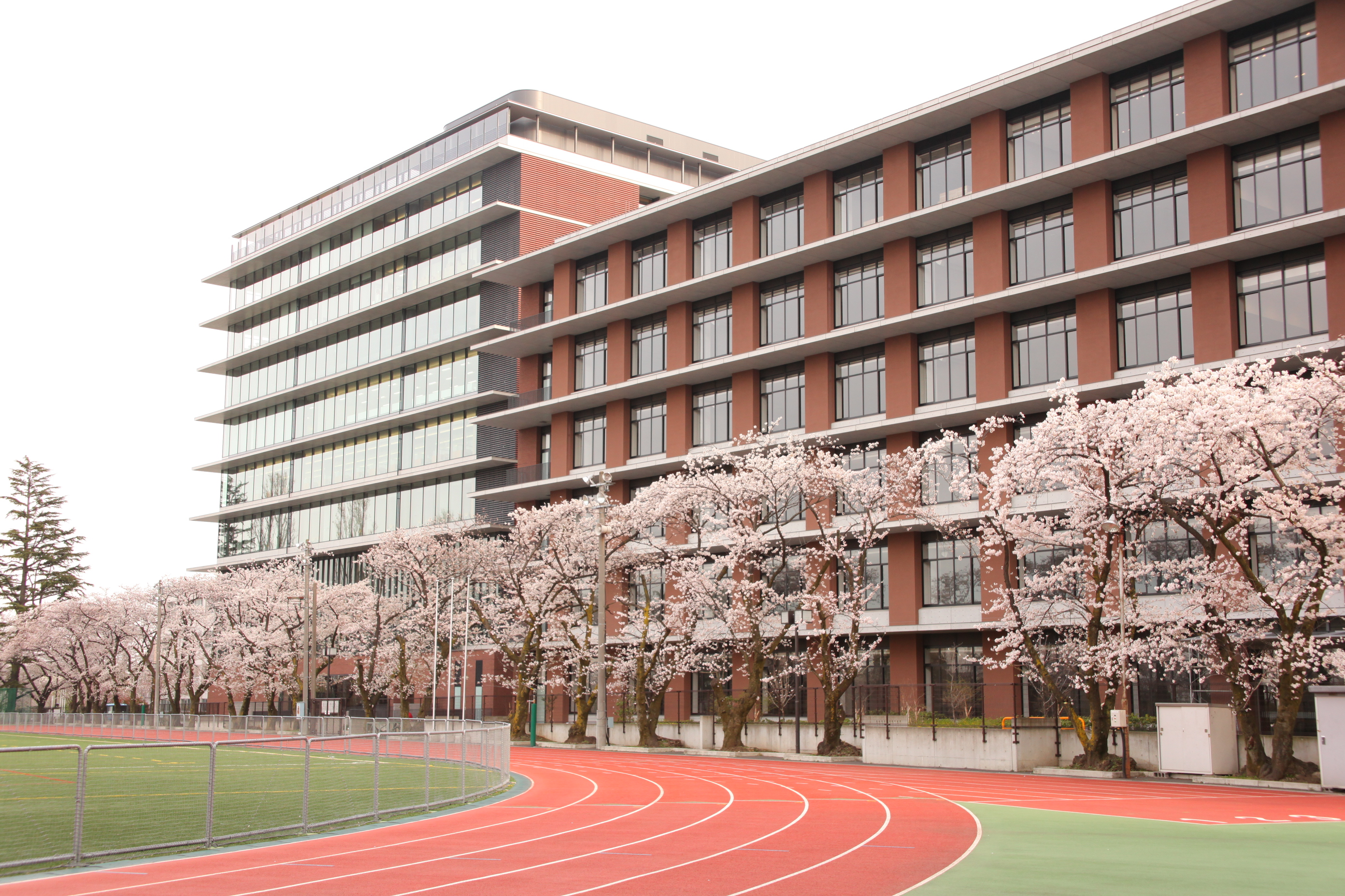 東京 農業 大学