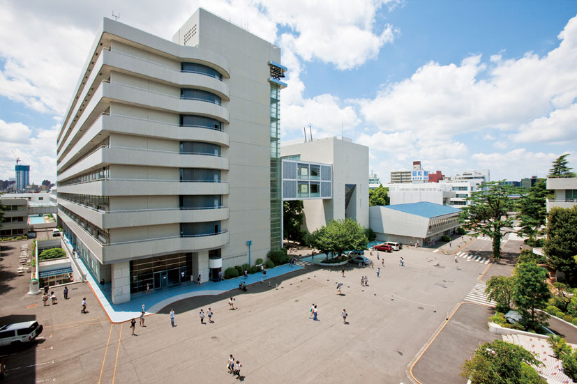 女子 発表 昭和 大学 合格