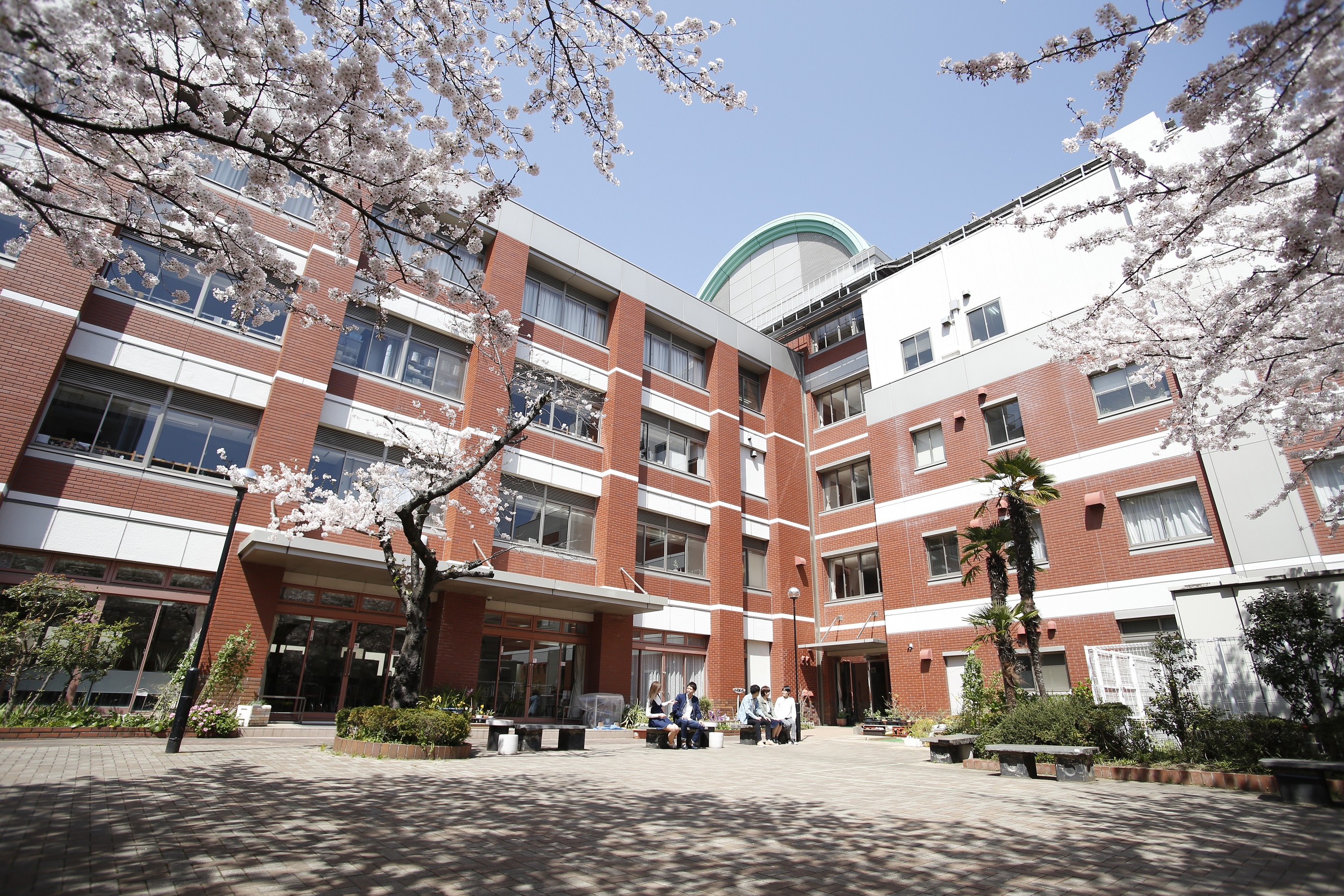 驚きの値段での商品をすべて 東京聖栄大学 （東京｜東京都）：全国栄養士養成施設協会 - その他
