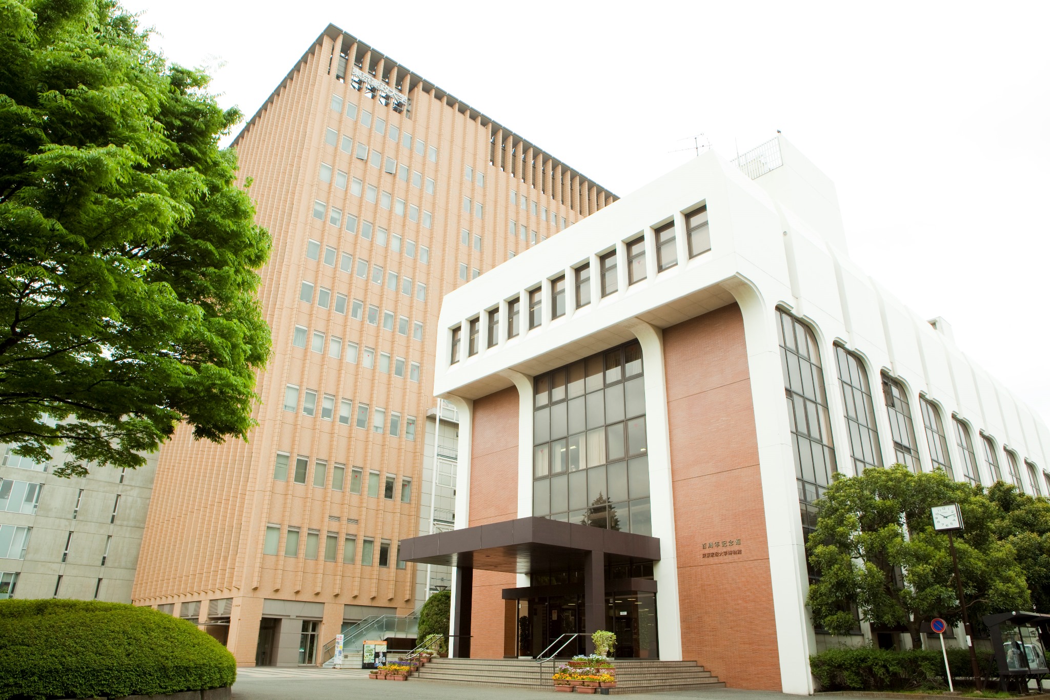 東京家政大学短期大学部 (東京|東京都):全国栄養士養成施設協会 東京家政大学短期大学部 (東京|東京都):全国栄養士養成施設協会