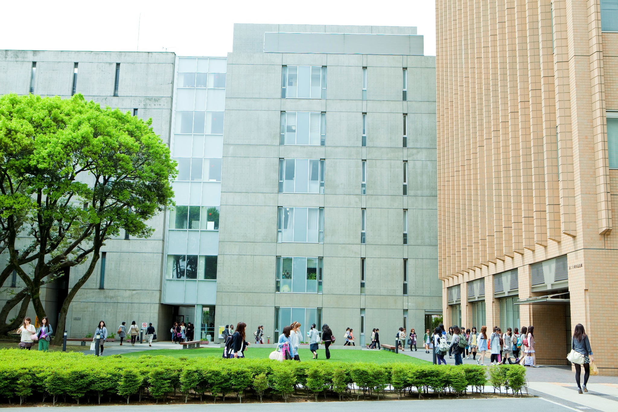 東京家政大学短期大学部 東京 東京都 全国栄養士養成施設協会