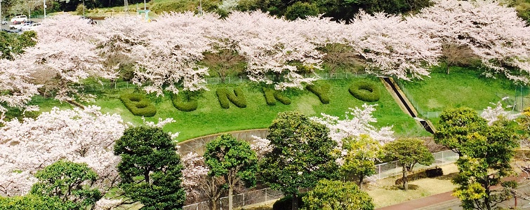 学校の特徴