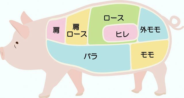 おいしい情報をお届けするコラム 豚肉の部位の特徴を知っておいしさを味わおう おいしい情報をお届けするコラム 豚肉の部位 の特徴を知っておいしさを味わおう 栄養士 管理栄養士を目指す人をサポート