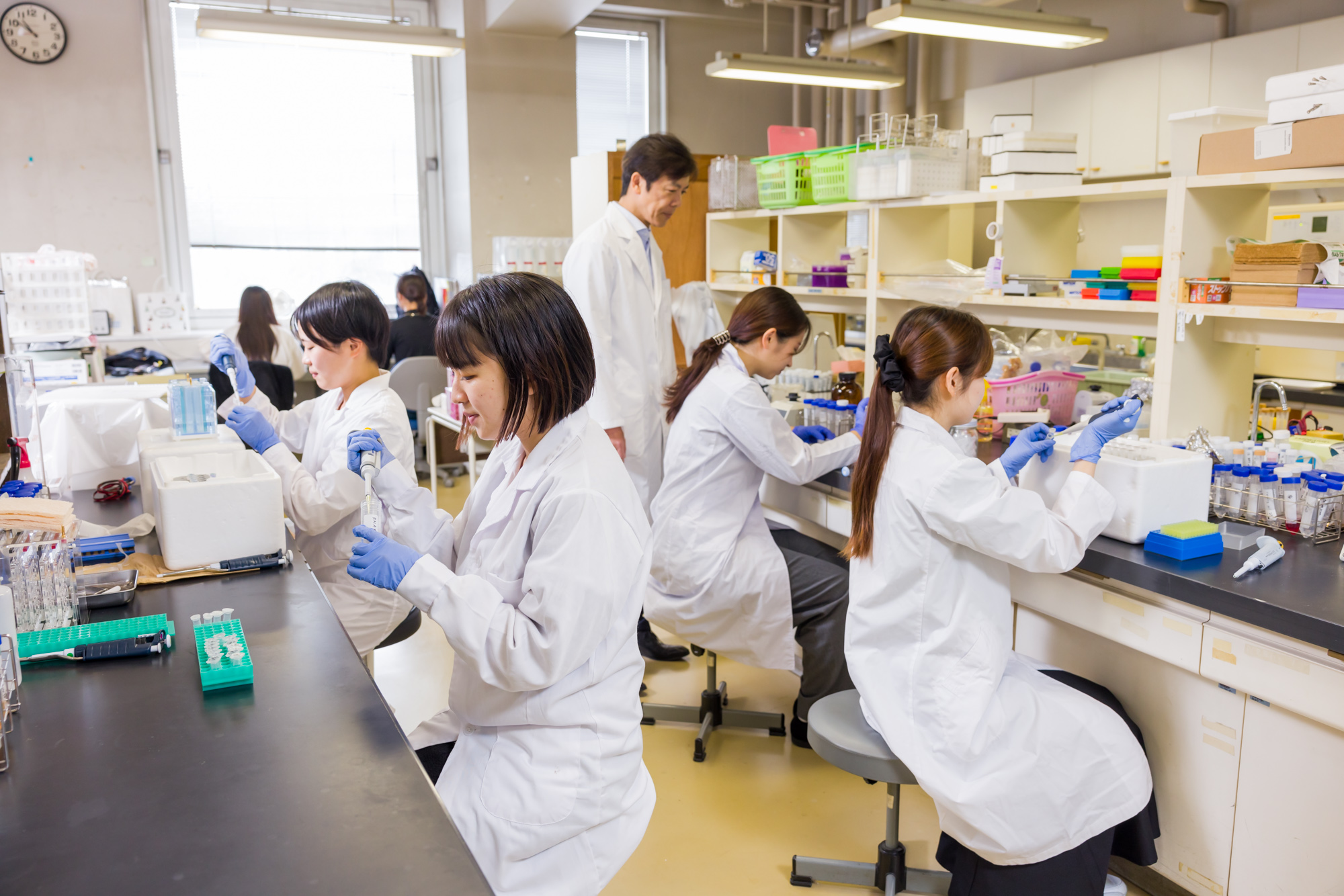 学校の特徴
