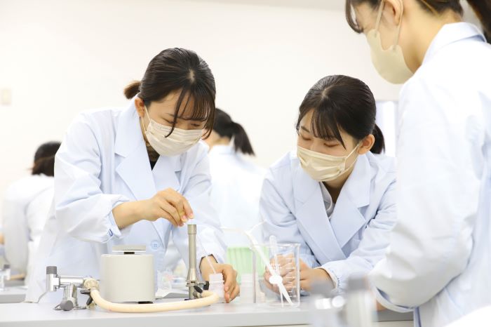 学校の特徴