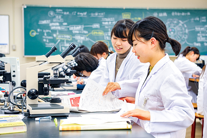 学校の特徴