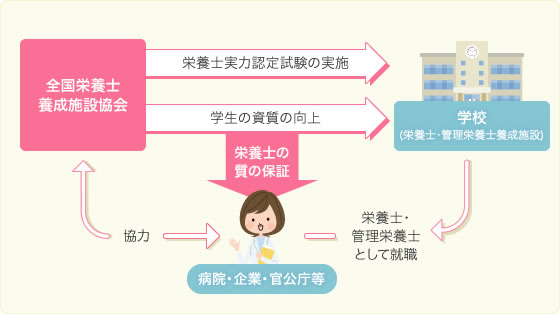 栄養士実力認定試験の実施