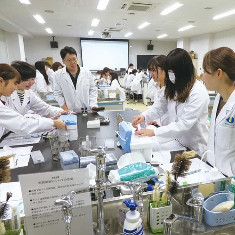 学校の特徴