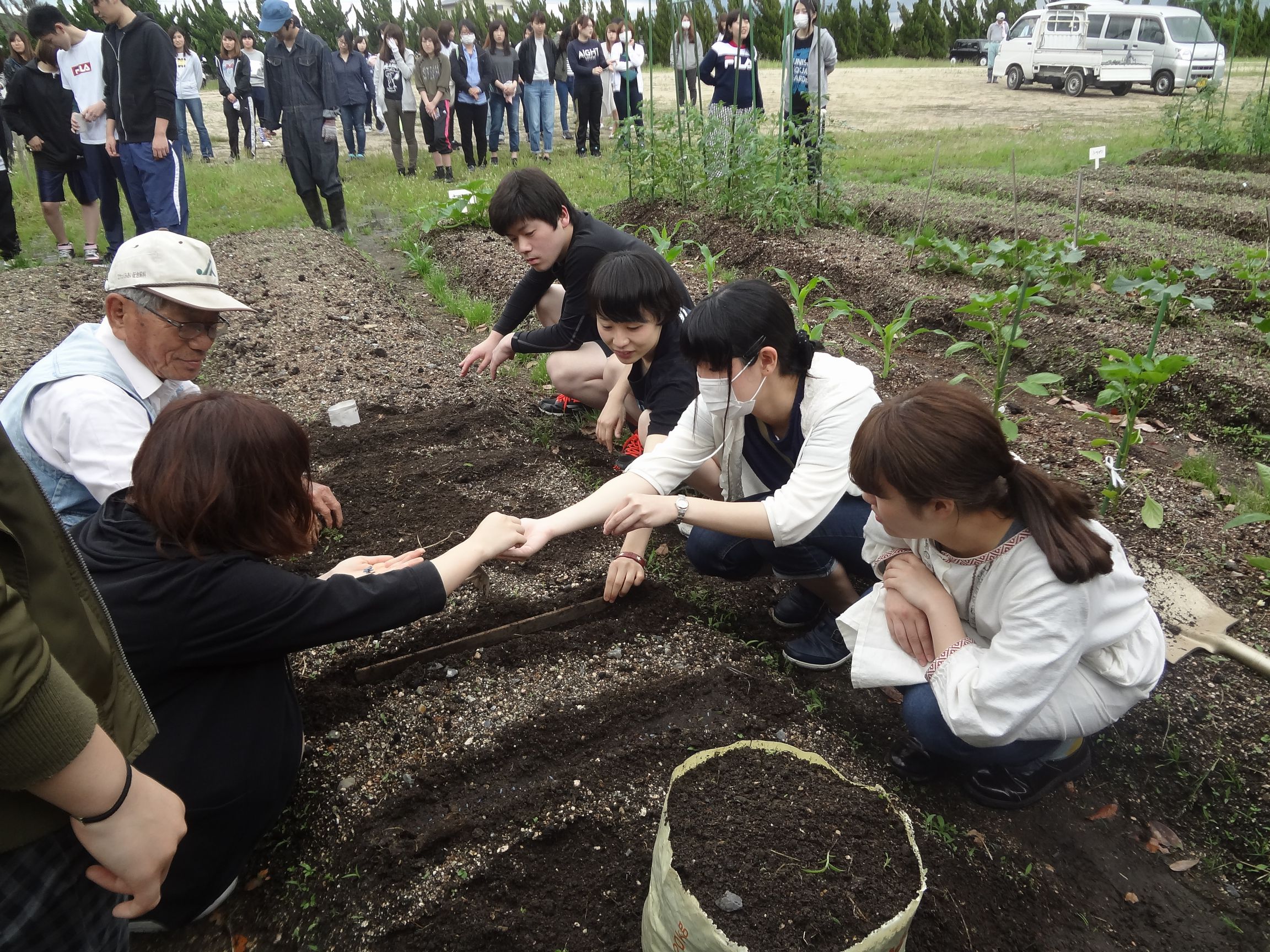 学校の特徴