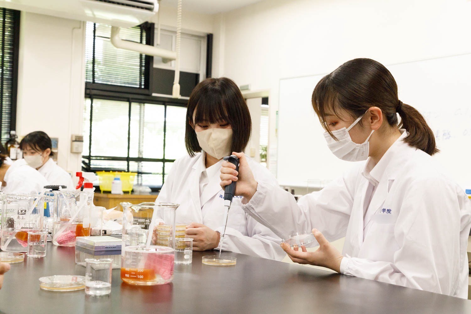 学校の特徴