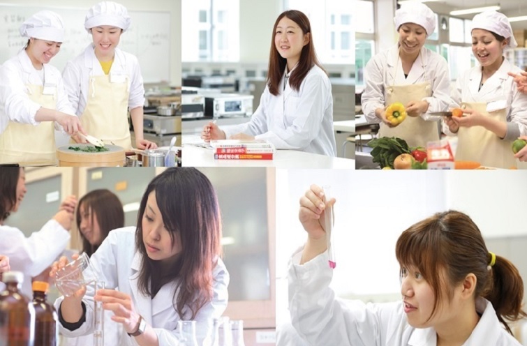 学校の特徴
