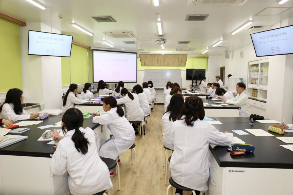 学校の特徴