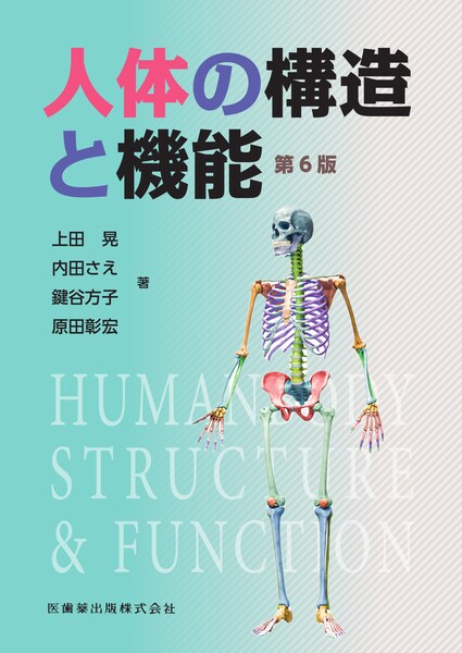 人体の構造と機能 　第6版のイメージ