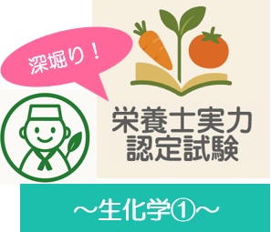 深堀り！栄養士実力認定試験過去問題～生化学①～